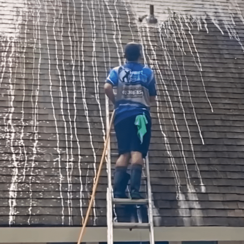 Roof Cleaning in Bradenton, FL